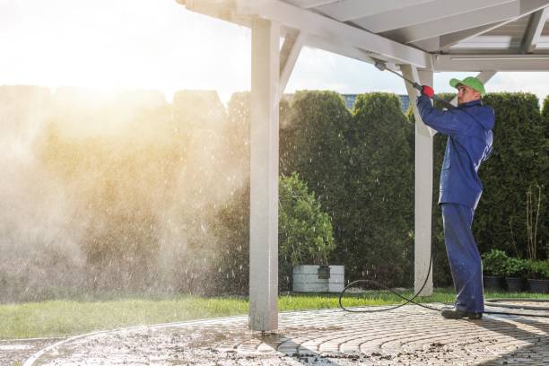 Best Sidewalk and Walkway Cleaning  in Orange Grove, TX